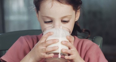 Er mælk bæredygtigt?
