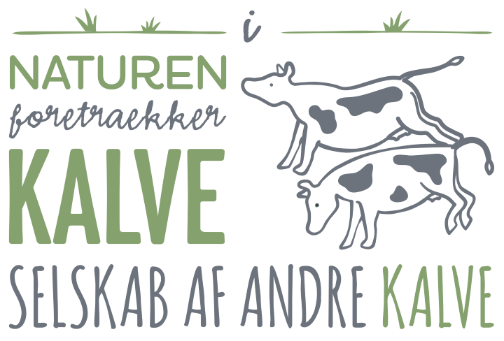i_naturen_foretraekker_kalve_selskab_af_andre_kalve.png