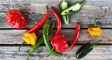 Chili