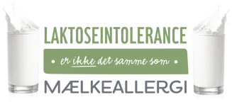 Kan man spise mejeriprodukter som laktoseintolerant?