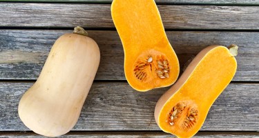 Butternut