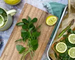Citronmelisse