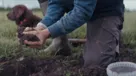 Hvad er jordsundhed? Og hvorfor går vi op i det hos Arla?