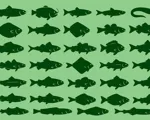 Fiskeguide