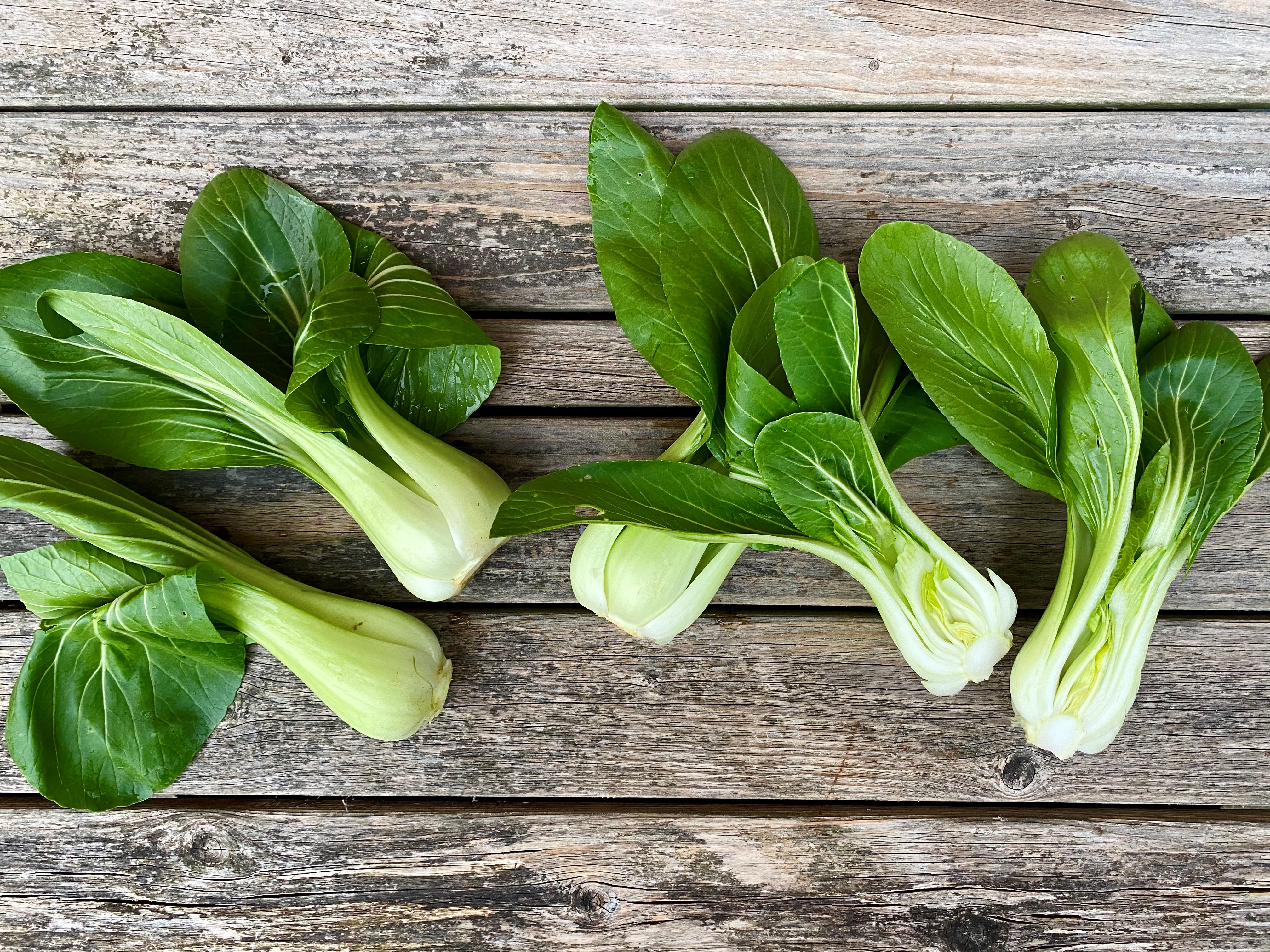 Alt om pak choi