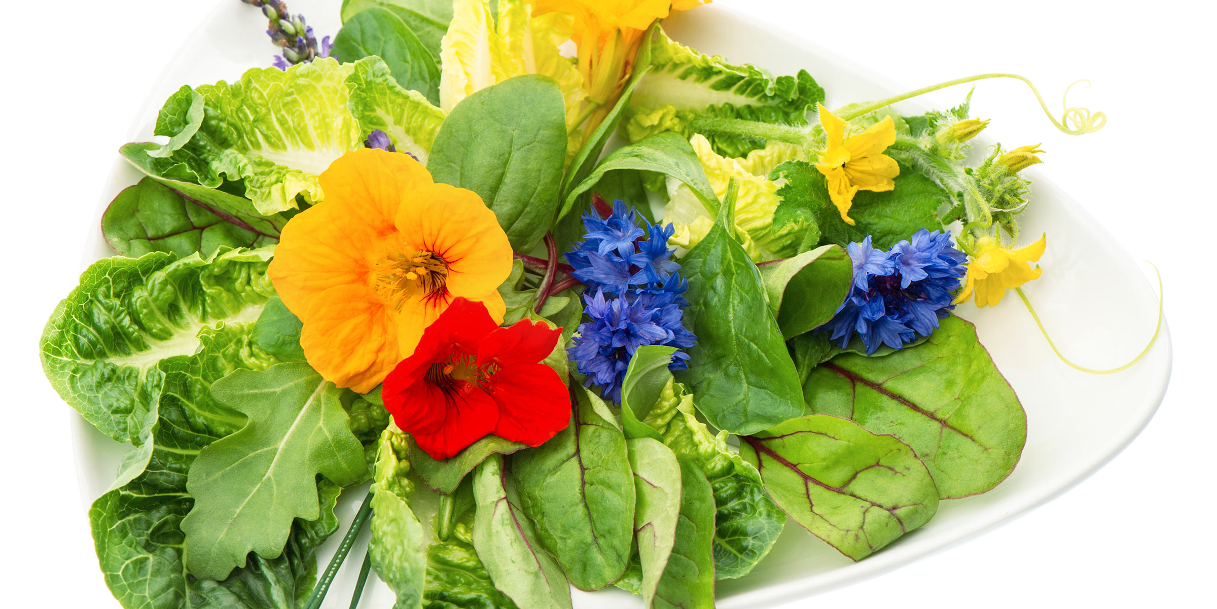 Spiselige blomster