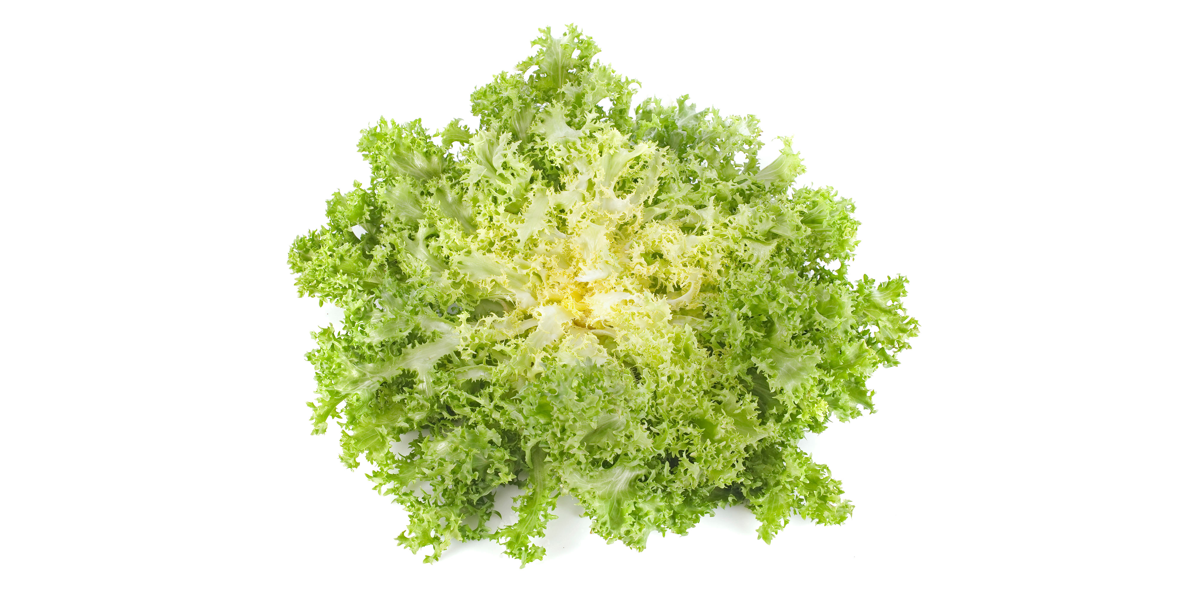 Endviesalat