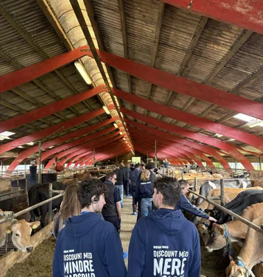 REMA 1000 besøgte forrige mandag Gram Slot, hvor projektet foregår.