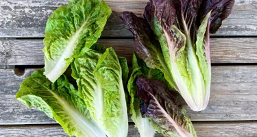 Hjertesalat