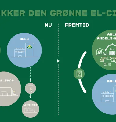 Arla vil købe grøn strøm fra landmændene