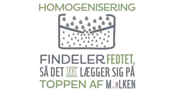 Homogenisering