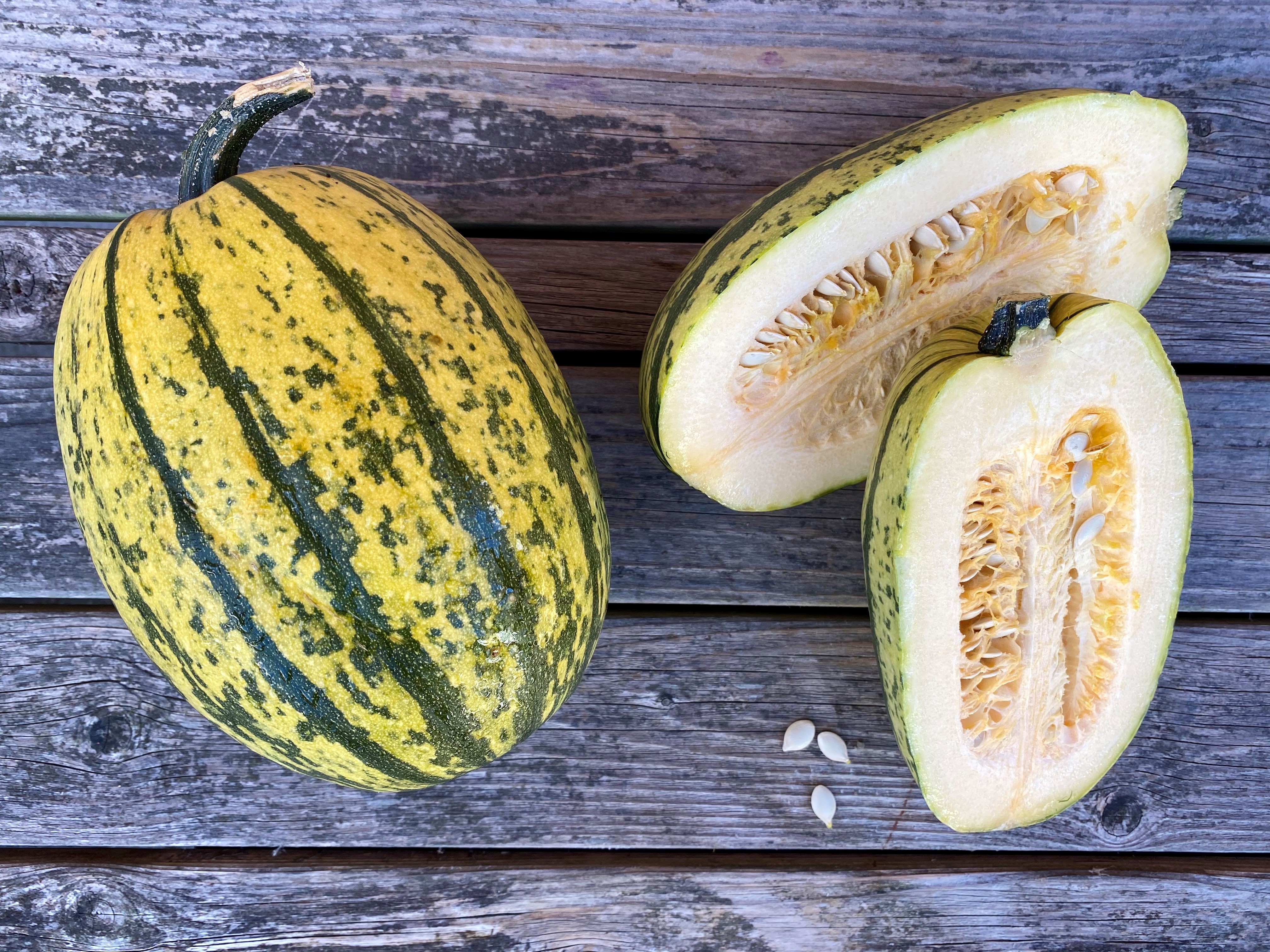Spaghettisquash