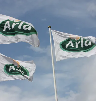 Arla Foods byder på fødevarevirksomhed i Egypten