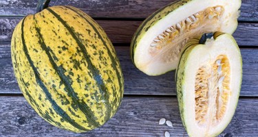 Spaghettisquash