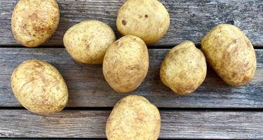 Bagekartoffel