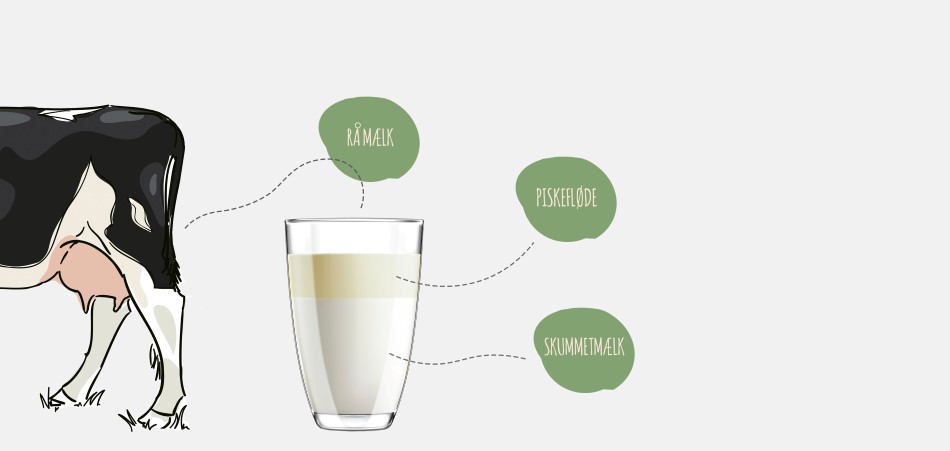 Visualisering af råmælk