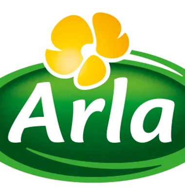 Arlas øverste kommunikationsdirektør stopper