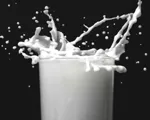 Er laktoseintolerance det samme som mælkeallergi?