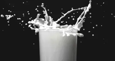 Er laktoseintolerance det samme som mælkeallergi?
