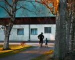 Belønning af klimatiltag på gårde