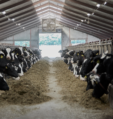 Arlas repræsentantskab godkender højeste efterbetaling nogensinde på 292 millioner EUR