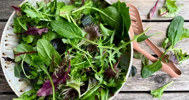 Babysalat og crispsalat