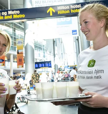 Danskerne savner frisk dansk mælk på ferien