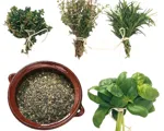 Herbes de Provence