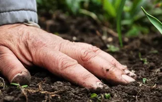 Biodiversitet