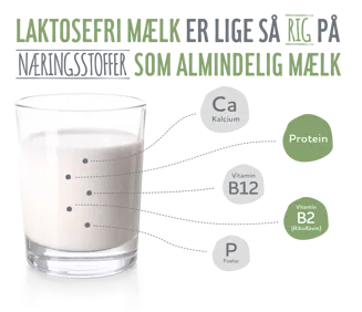 Erstatning af næringsstoffer