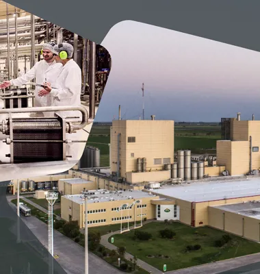 Arla Foods Ingredients investerer i latinamerikansk vækst