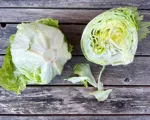 Iceberg salat