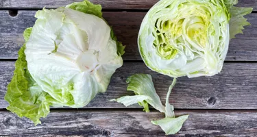 Iceberg salat