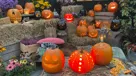 Halloween - Sådan laver du flotte græskar til halloween