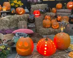 Halloween - Sådan laver du flotte græskar til halloween