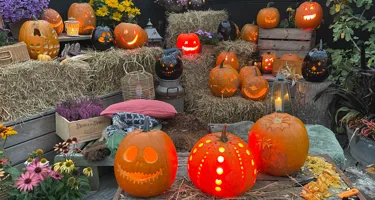 Halloween - Sådan laver du flotte græskar til halloween