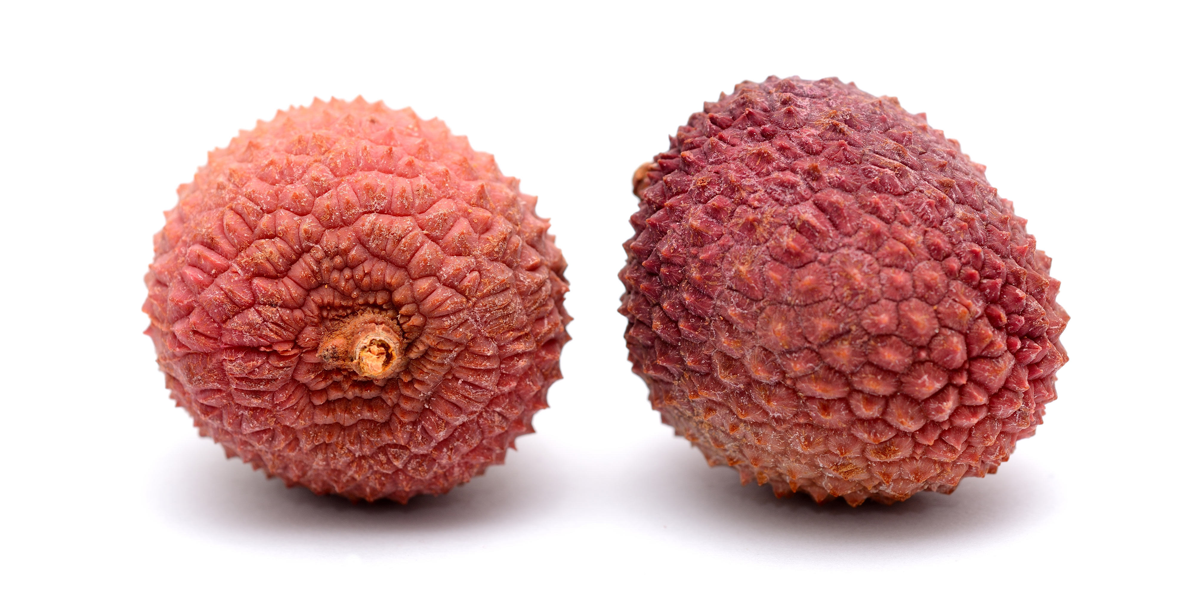 Litchi