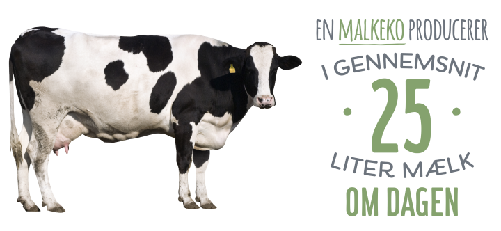 en_malkeko_producere_25l_maelk_om_dagen.png