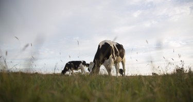 Arlas landmænd sikrer større indsigt og stærkere klimatiltag