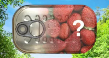 Sistemas tradicionales de conservación de alimentos