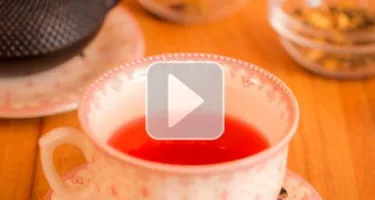 Tipos de infusiones