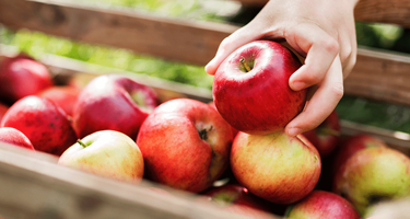 Seleccionar las mejores frutas I : Frutas climatéricas y no climatéricas