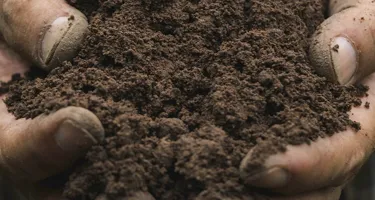 Día de la Tierra: Nuestra ambición ecológica