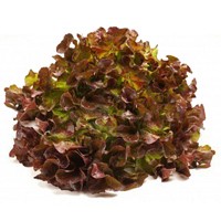 Trucos para tus ensaladas Arla