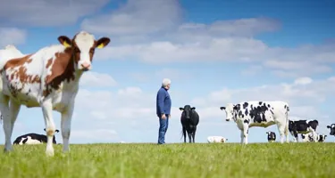 El bienestar animal como parte de nuestra promesa sostenible