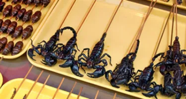 Comer insectos como fuente de proteínas