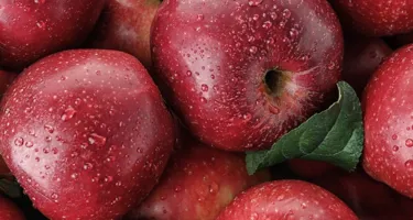 Propiedades de la manzana