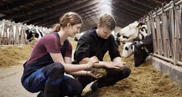 Los agricultores de Arla generan energía verde y reducen la huella de carbono