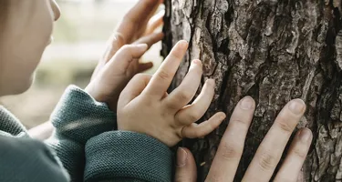 Cómo enseñar valores ecológicos a los niños