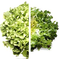 Trucos para tus ensaladas Arla